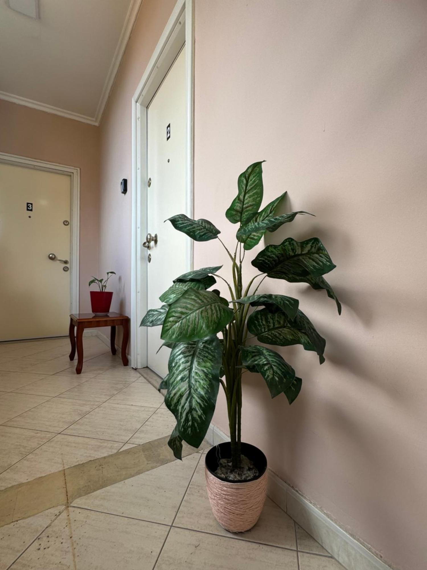 Mirela'S Apartment City Center Tirana Exteriér fotografie